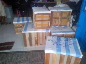 cargo-jogja-27